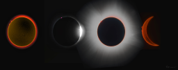 A series of images taken during the total solar eclipse of 2024 on April 8th in Hot Sprints, Arkansas. The sun on the day of the eclipse, the 'diamond ring' formed when the moon was just shy of covering the entire solar disc, the blazing corona during totality and the solar flares on one side as t he moon exited the other.